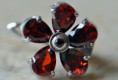 /album/ruby-hibiscus/e-17-jpg3/